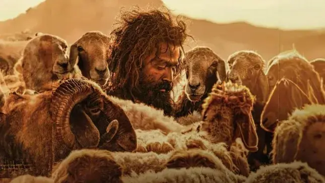 Aadujeevitham Box Office Collection Day 2: Prithviraj Sukumaran's Film Shows Slight Growth Aadujeevitham poster