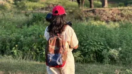 Description of the pic