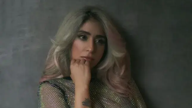 Description of the pic