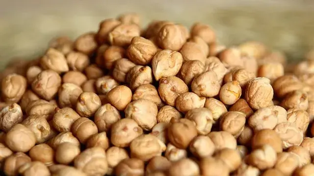 Chickpeas: DYK it reduces your cholestrol and regulates your sugar? Here's what more it does Chickpeas