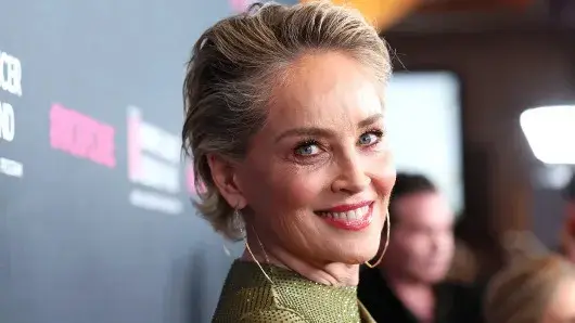 ब्रेन स्ट्रोक के बाद मैं काफी बुरे दौर से गुजरी: शेरोन स्टोन Sharon Stone, Hollywood