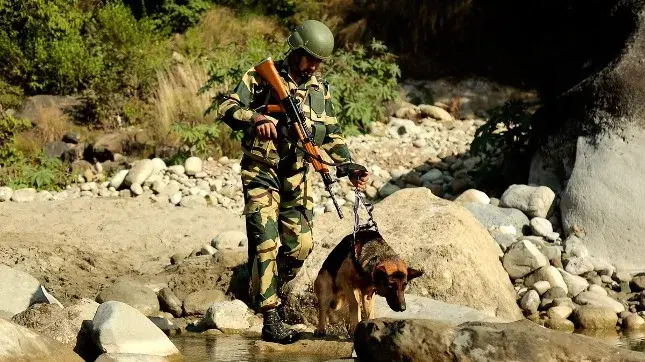 BSF Director General issues warning, infiltration attempts to surge ahead of winter BSF K9 Troop