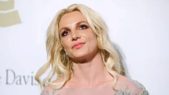 Description of the pic