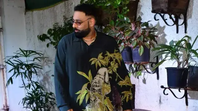 Description of the pic