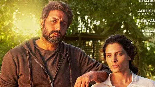 Description of the pic