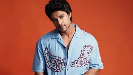 Description of the pic