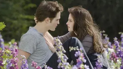 Twilight writer Stephenie Meyers did not want Robert Pattinson, Kristen Stewart cast in the film Twilight