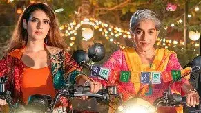 Description of the pic