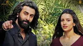 Description of the pic