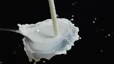 Milk