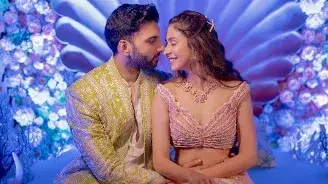 Description of the pic