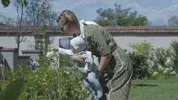 Description of the pic