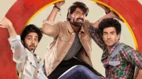 Description of the pic