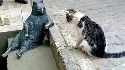 Tombili the Istanbul cat, internet sensation, forever honored with bronze statue Tombili