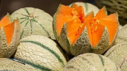 Here's what you need to know about the deadly salmonella outbreak cantaloupes