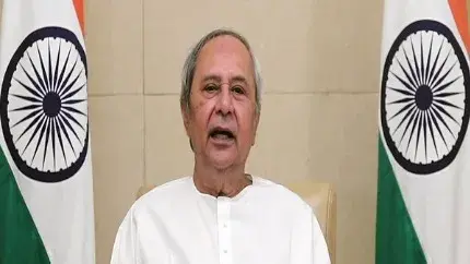 Odisha government approves seven projects worth Rs 1482.53 crore Naveen Patnaik, CM, Odisha