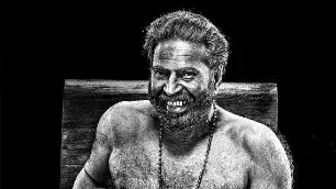 Description of the pic