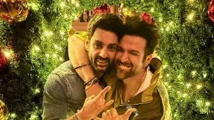 Description of the pic