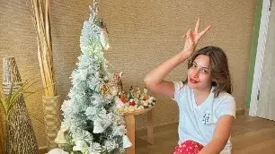 Description of the pic