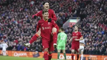 Liverpool vs Newcastle Live Streaming: How to watch the Premier League match in India, UK & US? Roberto Firmino