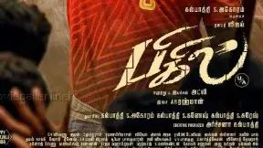 Description of the pic