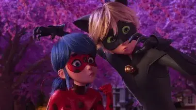 Description of the pic