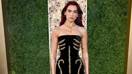 Description of the pic