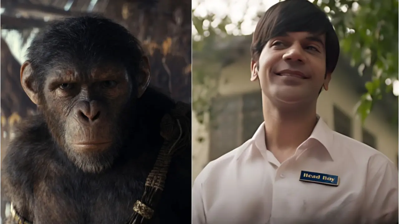 Srikanth Vs Kingdom Of The Planet Of The Apes Box Office: Rajkummar Rao Starrer Takes Lead Srikanth And Kingdom Of The Planet Of The Apes