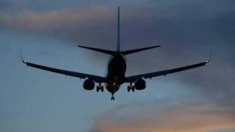 Domestic air passenger