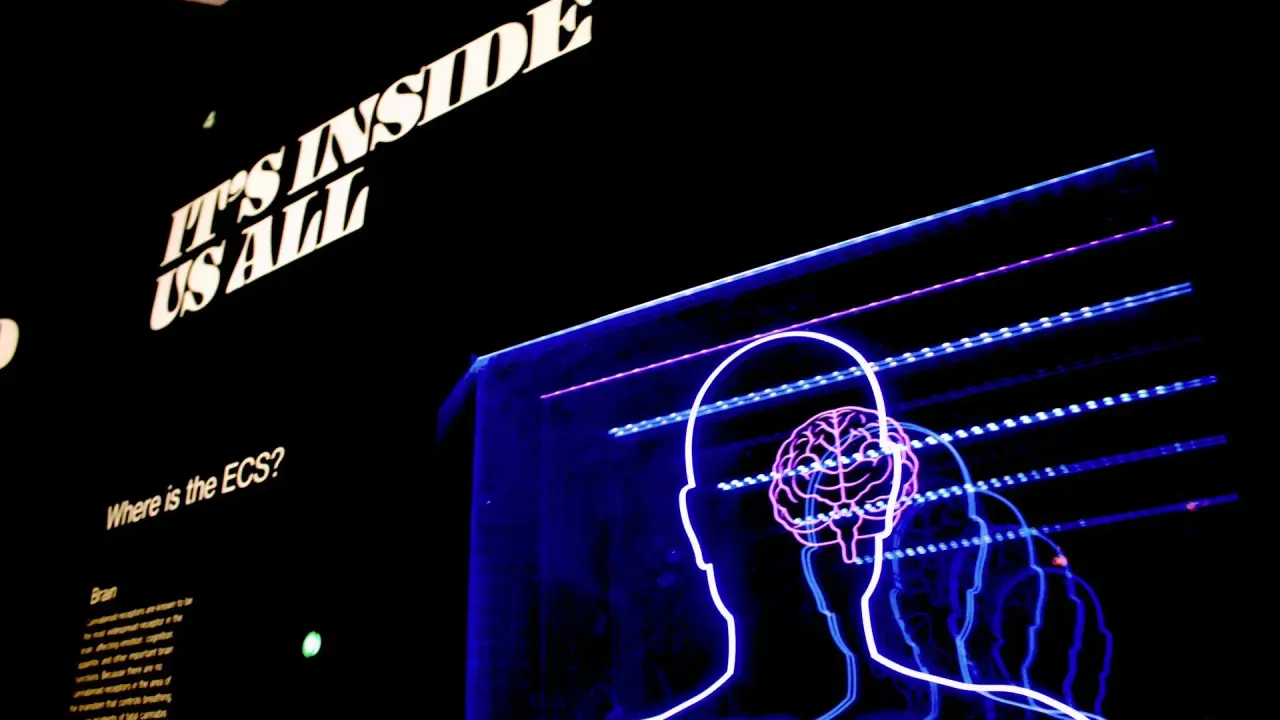 Elon Musk’s Neuralink moves incorporation location to Nevada Neuralink