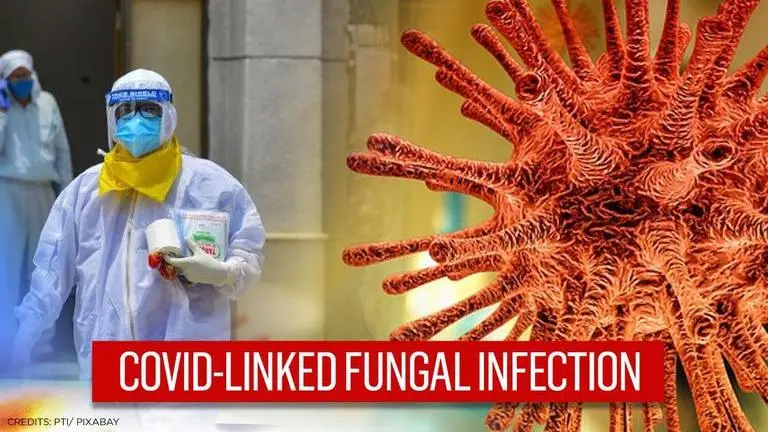 'Black' fungal disease that causes blindness infects 44 in Ahmedabad, 9 killed Fungal Disease