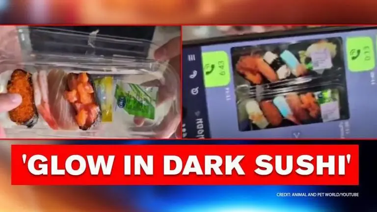 Video from Thailand shows sushi glowing fluorescent blue, could it be contaminated? Thailand: Family finds florescent shrimp in sushi, shares video