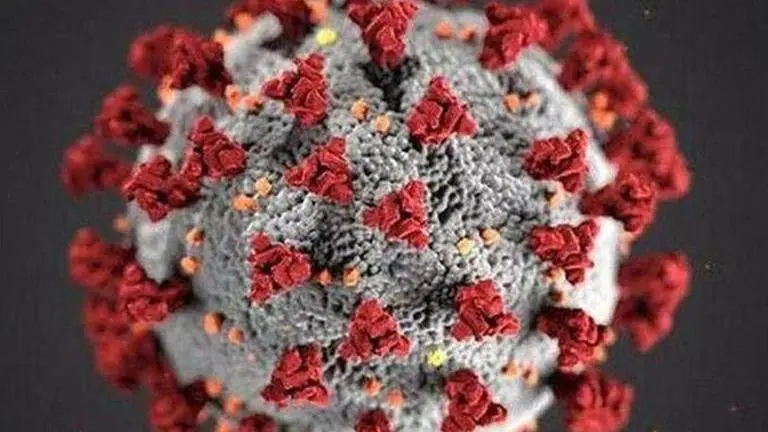 WHO says deliberately infecting people with COVID-19 virus could speed up vaccines