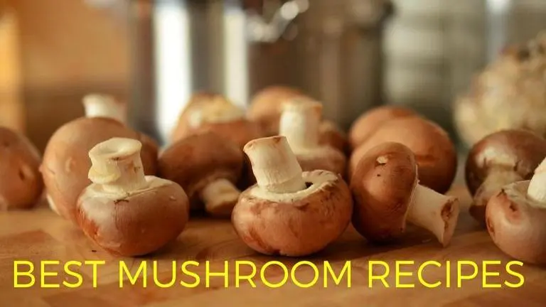 Best mushroom recipes to prepare at home with very simple steps best mushroom recipes