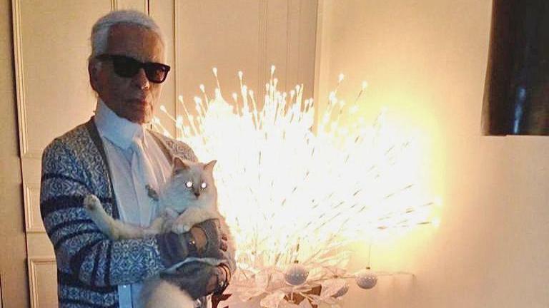 karl lagerfeld cat: Karl Lagerfeld's pet cat Choupette reveals why she  decided to ditch Met Gala 2023 red carpet - The Economic Times