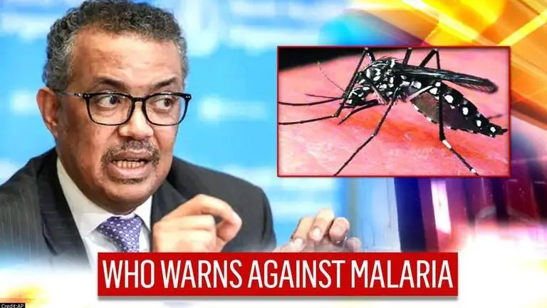Amid COVID-19, WHO urges countries to step up fight against Malaria as death toll rises Malaria