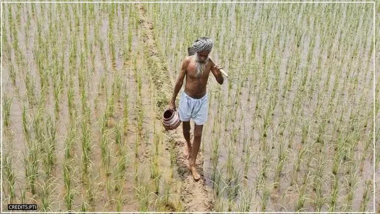 Agra farmers distressed as untimely hailstorm and rain flatten crops Agra