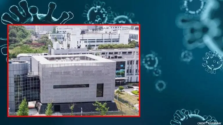 COVID-19 origin: British intelligence services call Wuhan lab leak theory 'feasible' COVID-19