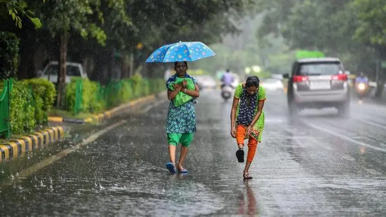 Good rainfall activity expected next week: IMD Representative Image