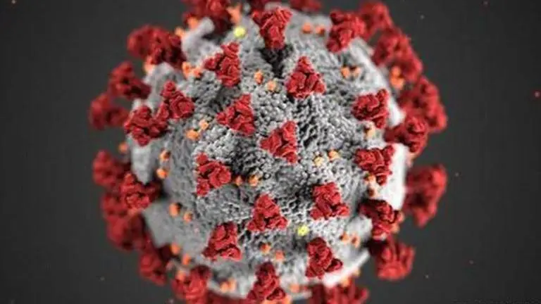 Minnesota case marks 1st detection of Brazil variant in US