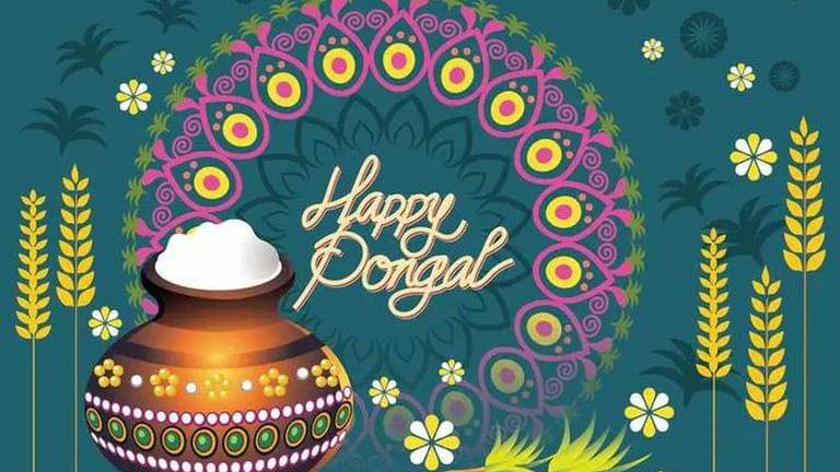 Happy pongal 2022: good morning happy pongal wishes, images, greetings and status