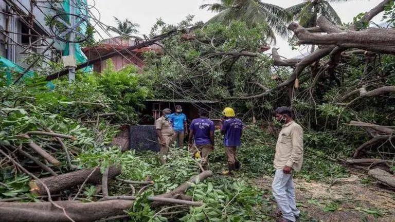 Cyclone Amphan: Here's how you can donate to West Bengal State Emergency Relief Fund West Bengal