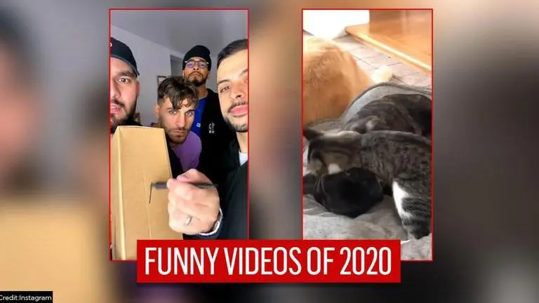 Funniest videos of 2020: From clever cat to dumbest robbery, watch 10 hilarious clips Funniest videos of 2020