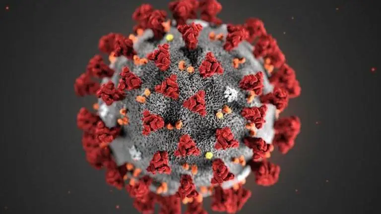 16 new coronavirus cases found in Mumbai's Dharavi area