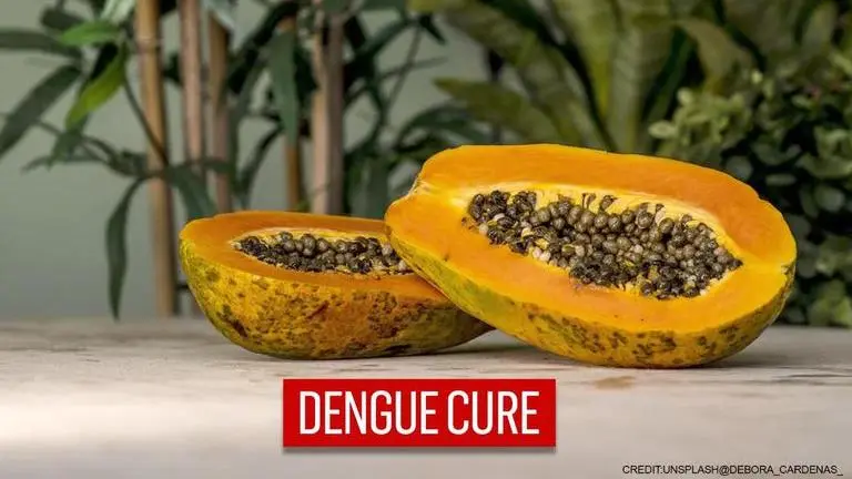 New Zealand-grown papaya tested for effective enzymes in dengue treatment research New Zealand