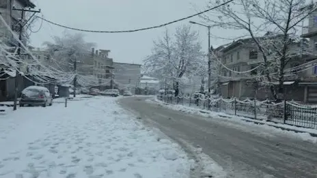 Himachal Rain, Snow Impact