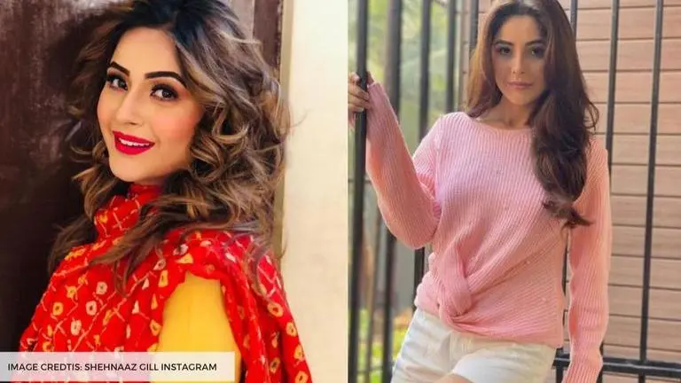 Shehnaaz Gill says she won't get work if she had stayed chubby; Watch shehnaaz gill