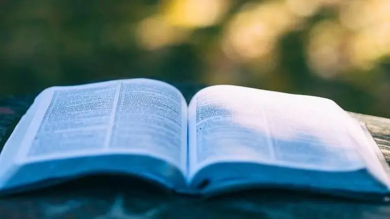 New NCERT textbooks revised as per NEP likely from 2024-25 NCERT