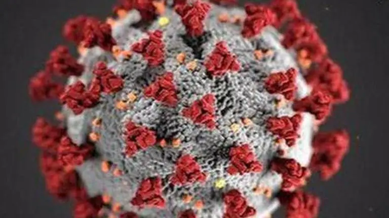 Haryana: COVID positive cases rise to 179; Gurugram, Palwal worst affected