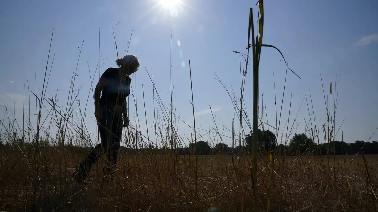 World breached Critical 1.5-Degree Celsius Limit For Entire Year CLIMATE CHANGE